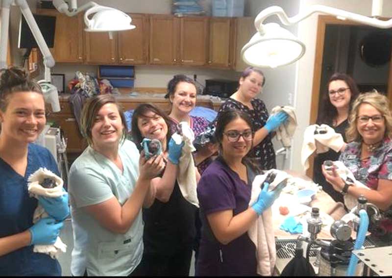 Carousel Slide 5: Meet our amazing team!