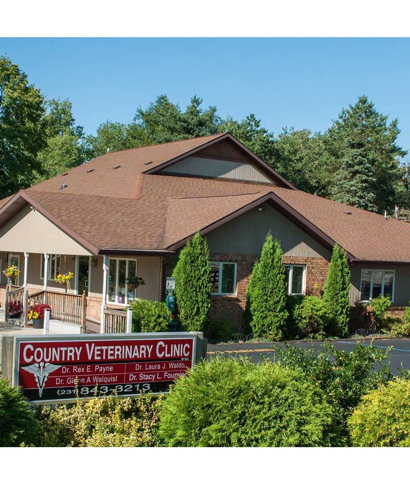 Ludington Vets Veterinary Hospital